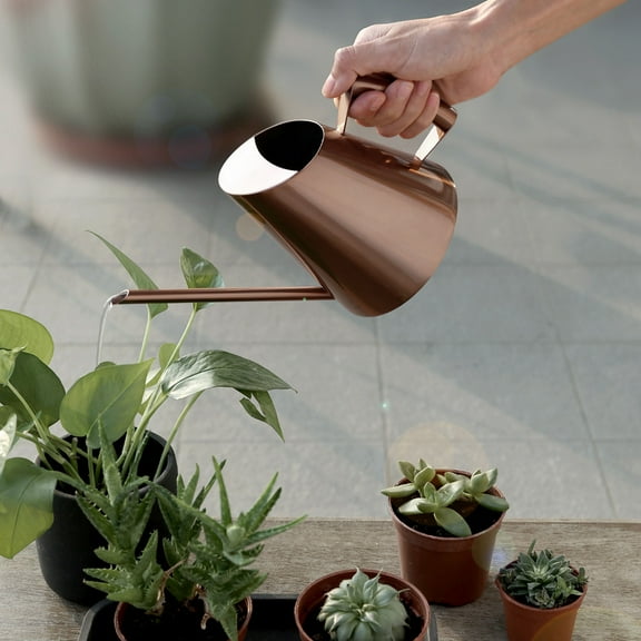 Stainless Steel Watering Can with Long Spout for Precise Indoor and Outdoor Plant Watering