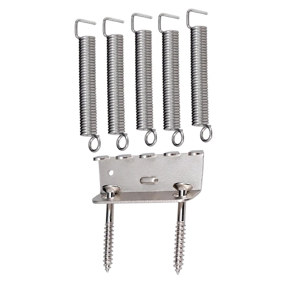 Stainless Tremolo Tension Springs and Claw with Screws Set