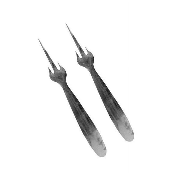 Stainless steel Mango Fruit Fork, Set Of 2