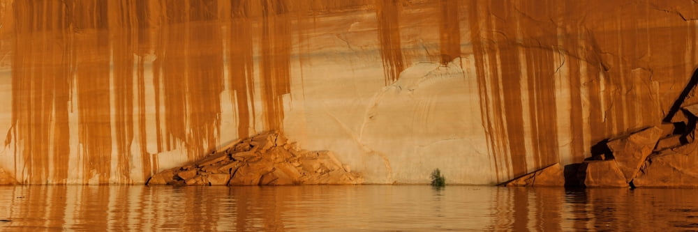 Stains from water seeps on sandstone Lake Powell Glen Canyon National Recreation Area Arizona USA Canvas Art - Panoramic Images (12 x 36)