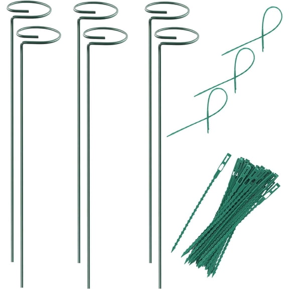 Stake Support - 6 Pack, Garden Single Stem Support Stake  Cage Support Rings, Single Stem  Support Stakes,  Twist Ties, for  Amaryllis Tomatoes Peony Lily Rose (15.9 inch)