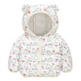 thumbnail image 1 of Staki Puffer Coat Baby Girl Winter Fleece Coats Toddler Warm Puffer Jackets Kids Down Outerwear(Light Pink,12-18 Months), 1 of 3