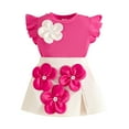 thumbnail image 1 of Staki Toddler Summer Outfits Toddler Girl Clothes Ruffle Floral Embroidery Shirt and Shorts Set(Hot Pink,12-18 Months), 1 of 9