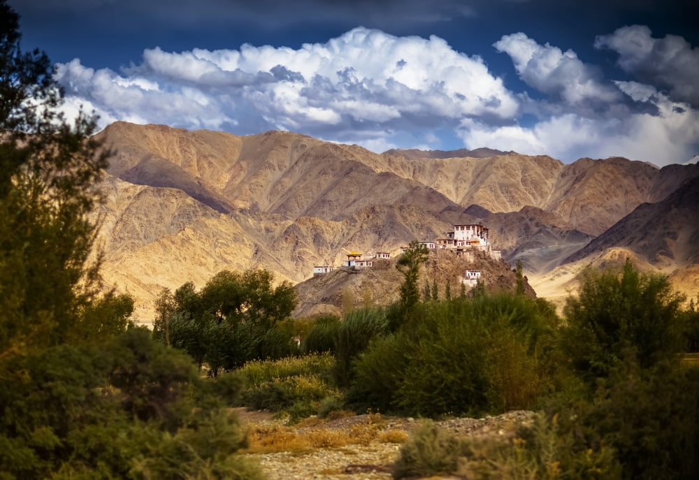 Stakna Monastery Ladakh India Canvas Art - Matt Brandon Design Pics (36 x 24)