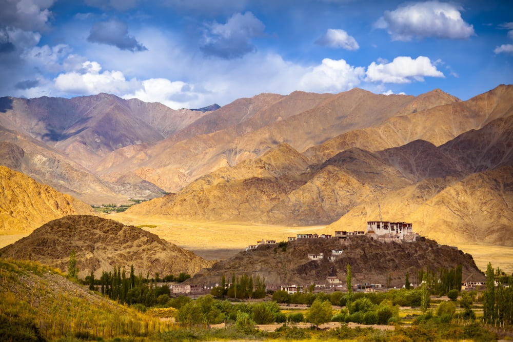 Stakna Monastery Ladakh India Canvas Art - Matt Brandon  Design Pics (38 x 24)