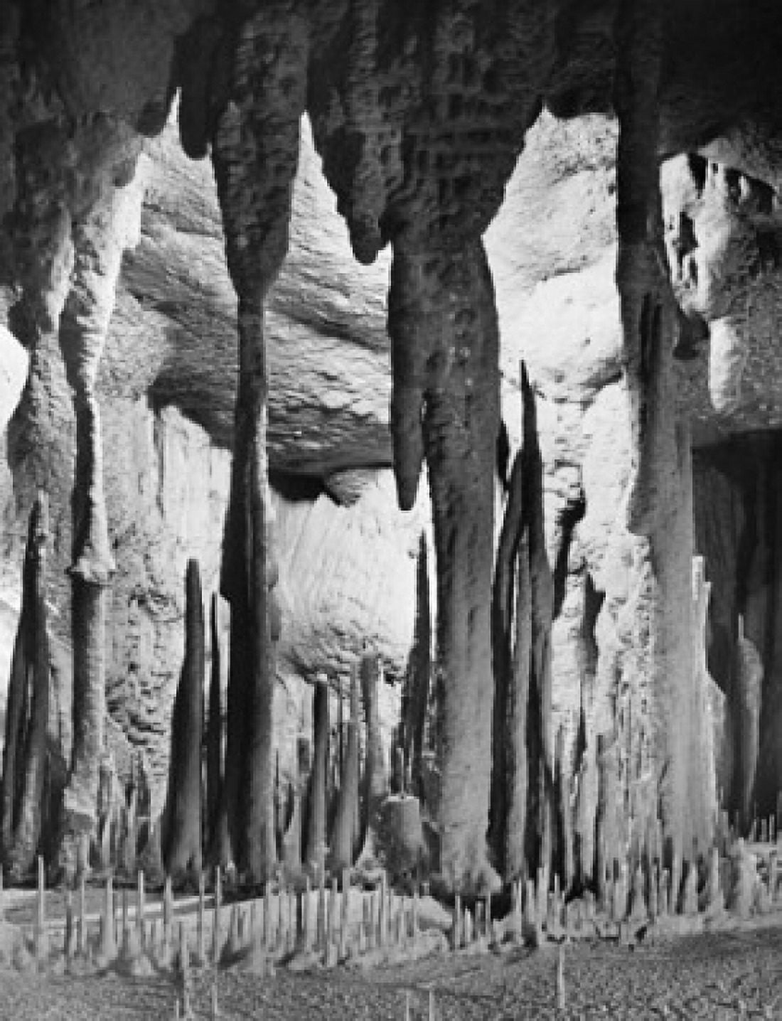 Stalactite and stalagmite in a cave Mammoth Cave Mammoth Cave National Park Kentucky USA Canvas Art - (18 x 24)