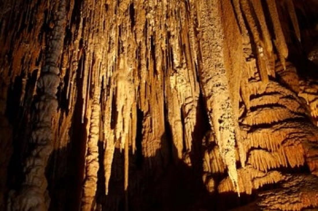 Stalactites Newdegate Cave Hastings Caves Australia Canvas Art - David Wall DanitaDelimont (36 x 24)