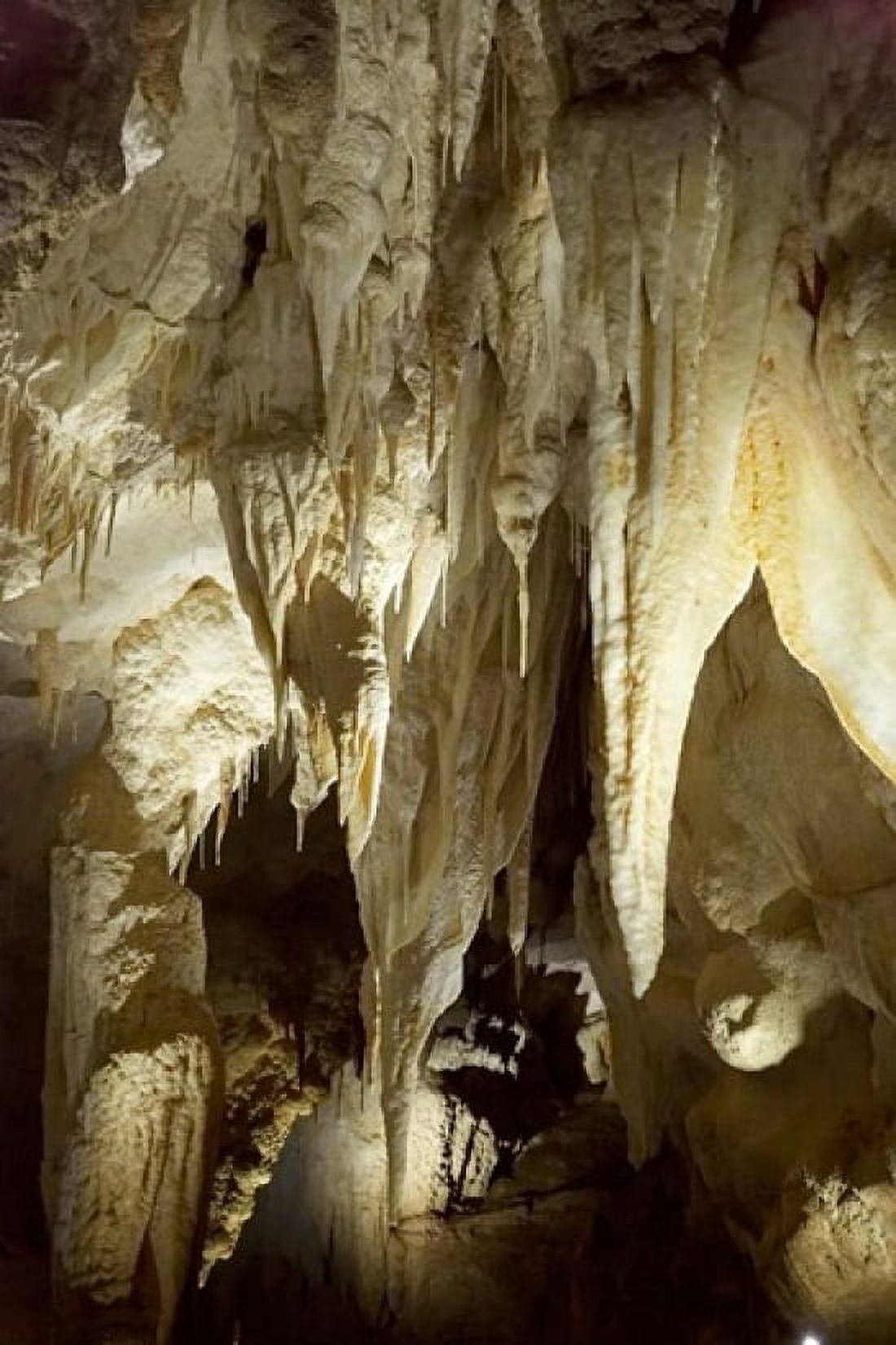 Stalactites Ruakuri Caves North Island New Zealand Canvas Art - David Wall DanitaDelimont (11 x 17)