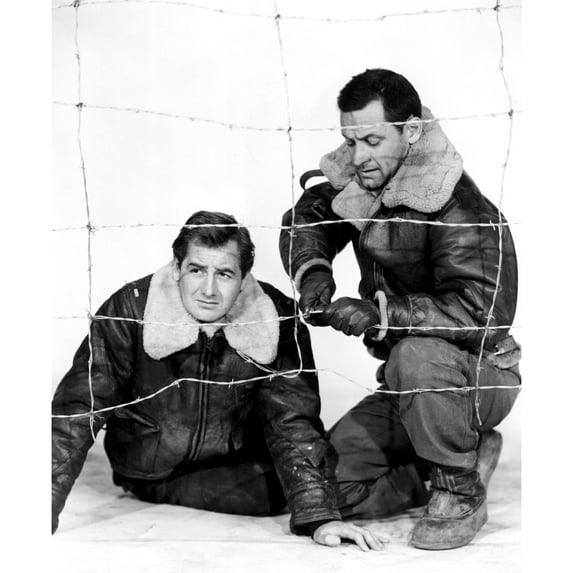 Stalag 17 Don Taylor William Holden 1953 Photo Print (8 x 10)