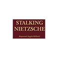 thumbnail image 1 of Pre-Owned Stalking Nietzsche (Hardcover) 0313307008 9780313307003, 1 of 1