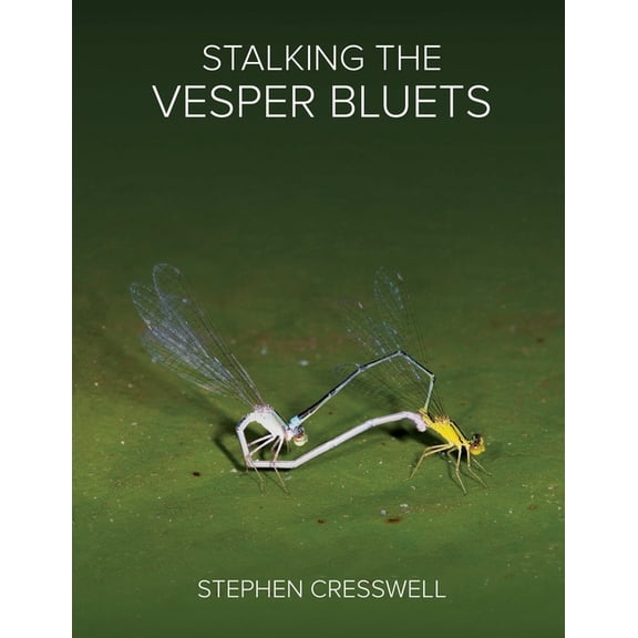 Stalking the Vesper Bluets, (Paperback)
