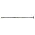 thumbnail image 1 of Stallion 5007805 6D 2 in. Finish Steel Nail with Brad Head Round Shank, 1 lbs - Case of 12, 1 of 2