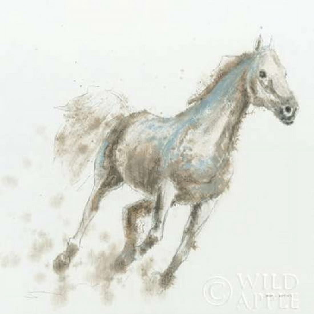 Stallion I Canvas Art - James Wiens (24 x 24)