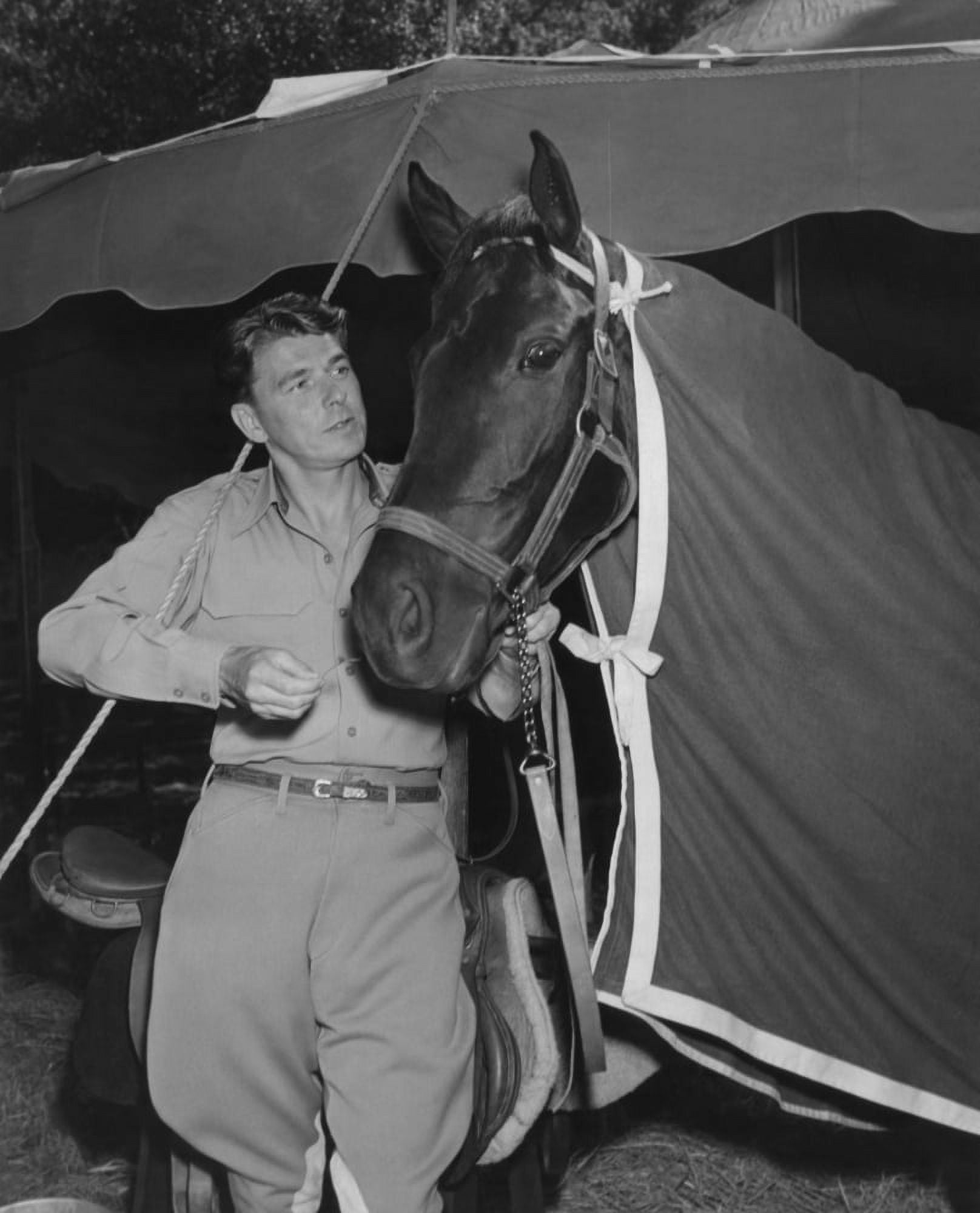 Stallion Road Canvas Art - (16 x 20)
