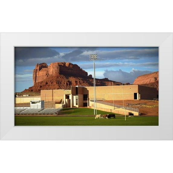 Stalowy, John 14x9 White Modern Wood Framed Museum Art Print Titled - Bovine Football