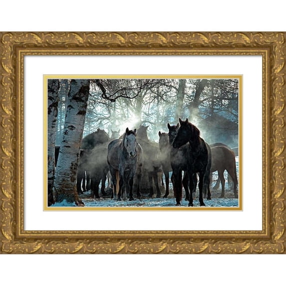 Stalowy, John 18x13 Gold Ornate Wood Framed with Double Matting Museum Art Print Titled - Horses in the Mist