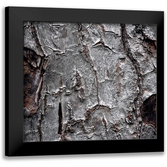 Stalowy, John 22x20 Black Modern Framed Museum Art Print Titled - Tree Bark