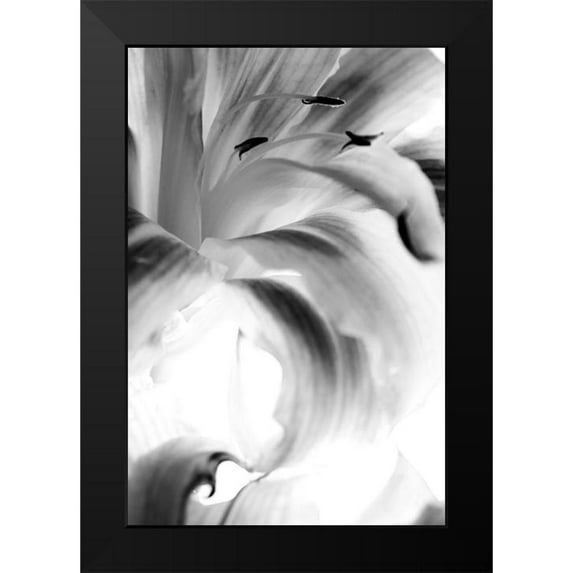 Stalus, Judy 11x14 Black Modern Framed Museum Art Print Titled - Explosion