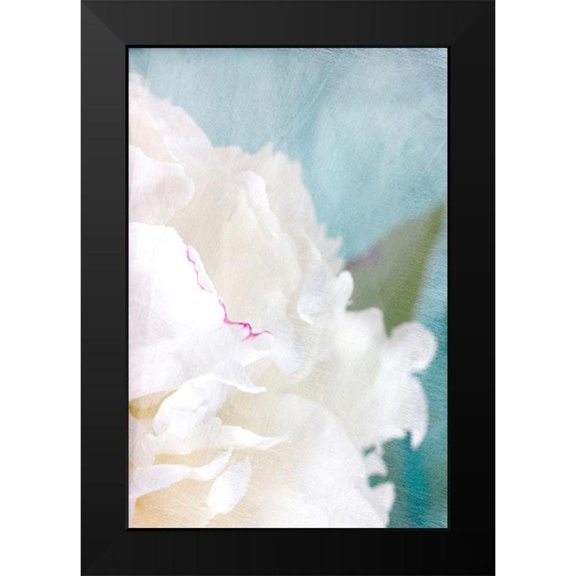 Stalus, Judy 11x14 Black Modern Framed Museum Art Print Titled - Peony Sky II