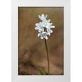 thumbnail image 1 of Stalus, Judy 11x14 White Modern Wood Framed Museum Art Print Titled - Spring, 1 of 4