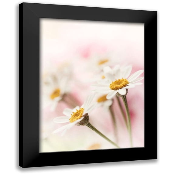 Stalus, Judy 12x14 Black Modern Framed Museum Art Print Titled - Flowers Aglow III