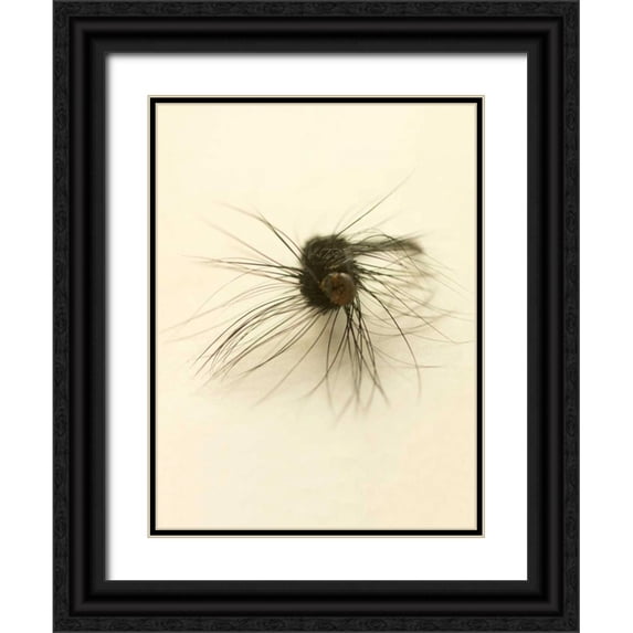 Stalus, Judy 12x14 Black Ornate Wood Framed with Double Matting Museum Art Print Titled - Macro Lure III