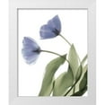 thumbnail image 1 of Stalus, Judy 12x14 White Modern Wood Framed Museum Art Print Titled - Xray Tulip III, 1 of 4