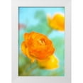 thumbnail image 1 of Stalus, Judy 13x18 White Modern Wood Framed Museum Art Print Titled - Bright, 1 of 4
