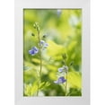 thumbnail image 1 of Stalus, Judy 13x18 White Modern Wood Framed Museum Art Print Titled - Meadow, 1 of 4
