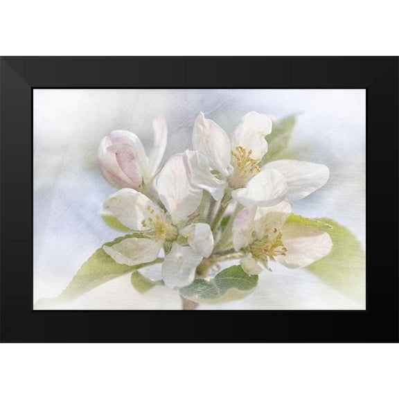 Stalus, Judy 14x11 Black Modern Framed Museum Art Print Titled - Spring Blossoms