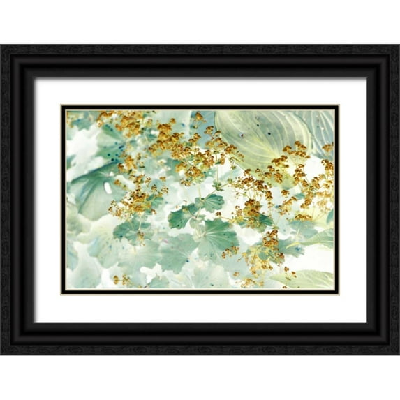 Stalus, Judy 14x11 Black Ornate Wood Framed with Double Matting Museum Art Print Titled - Golden Ladys Mantle