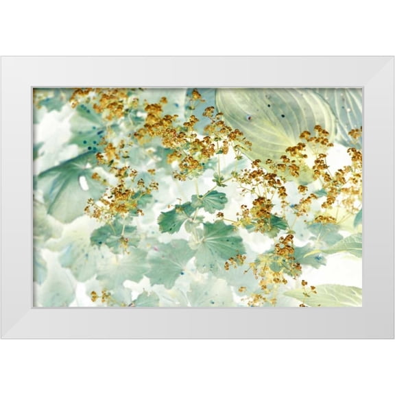 Stalus, Judy 14x11 White Modern Wood Framed Museum Art Print Titled - Golden Ladys Mantle