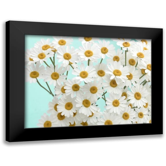 Stalus, Judy 14x12 Black Modern Framed Museum Art Print Titled - Daisy Love III