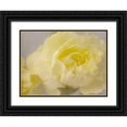 thumbnail image 1 of Stalus, Judy 14x12 Black Ornate Wood Framed with Double Matting Museum Art Print Titled - Rose Whisper III, 1 of 4
