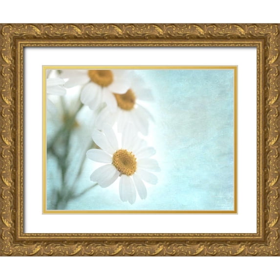 Stalus, Judy 14x12 Gold Ornate Wood Framed with Double Matting Museum Art Print Titled - Daisy Love I