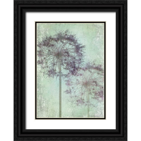 Stalus, Judy 14x18 Black Ornate Wood Framed with Double Matting Museum Art Print Titled - Allium Globe Master