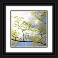 thumbnail image 1 of Stalus, Judy 15x15 Black Ornate Wood Framed with Double Matting Museum Art Print Titled - Spring Sky I, 1 of 4