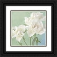 thumbnail image 1 of Stalus, Judy 15x15 Black Ornate Wood Framed with Double Matting Museum Art Print Titled - White Rose, 1 of 4