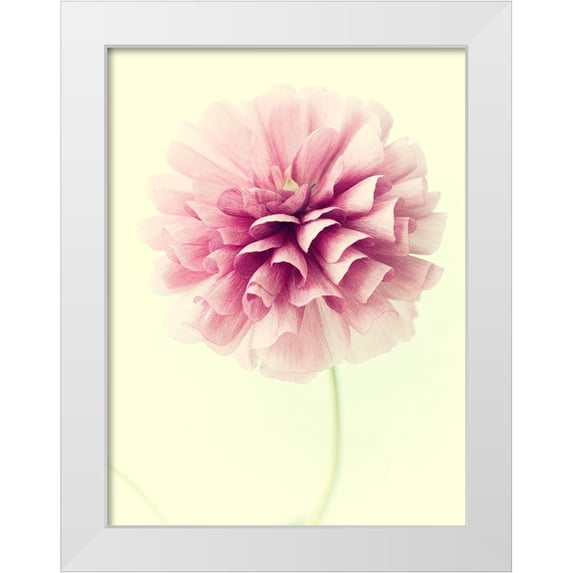Stalus, Judy 15x18 White Modern Wood Framed Museum Art Print Titled - Lush Botanical III