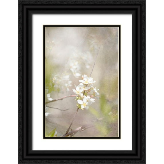 Stalus, Judy 17x24 Black Ornate Wood Framed with Double Matting Museum Art Print Titled - Mystery