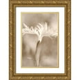 thumbnail image 1 of Stalus, Judy 17x24 Gold Ornate Wood Framed with Double Matting Museum Art Print Titled - Dianthus, 1 of 4