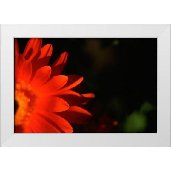 Stalus, Judy 18x13 White Modern Wood Framed Museum Art Print Titled - Red Sun