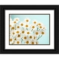 thumbnail image 1 of Stalus, Judy 18x15 Black Ornate Wood Framed with Double Matting Museum Art Print Titled - Daisy Love II, 1 of 4