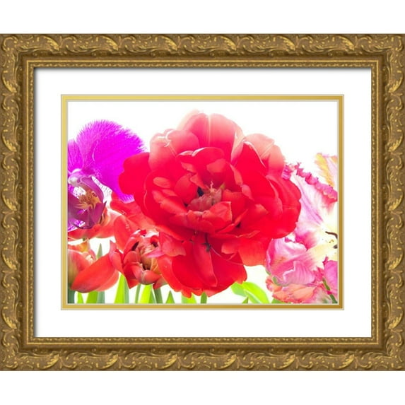 Stalus, Judy 18x15 Gold Ornate Wood Framed with Double Matting Museum Art Print Titled - Red Tulip