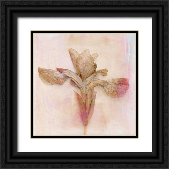 Stalus, Judy 20x20 Black Ornate Wood Framed with Double Matting Museum Art Print Titled - Remembered Flowers I