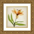 thumbnail image 1 of Stalus, Judy 20x20 Gold Ornate Wood Framed with Double Matting Museum Art Print Titled - Parchment Flowers XI, 1 of 4