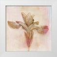 thumbnail image 1 of Stalus, Judy 20x20 White Modern Wood Framed Museum Art Print Titled - Remembered Flowers I, 1 of 4