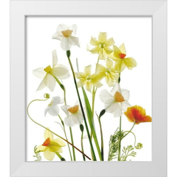Stalus, Judy 20x22 White Modern Wood Framed Museum Art Print Titled - Spring Garden