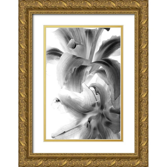 Stalus, Judy 23x32 Gold Ornate Wood Framed with Double Matting Museum Art Print Titled - Fire Works