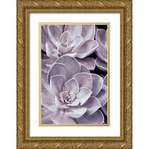 Stalus, Judy 23x32 Gold Ornate Wood Framed with Double Matting Museum Art Print Titled - Violet Succulents